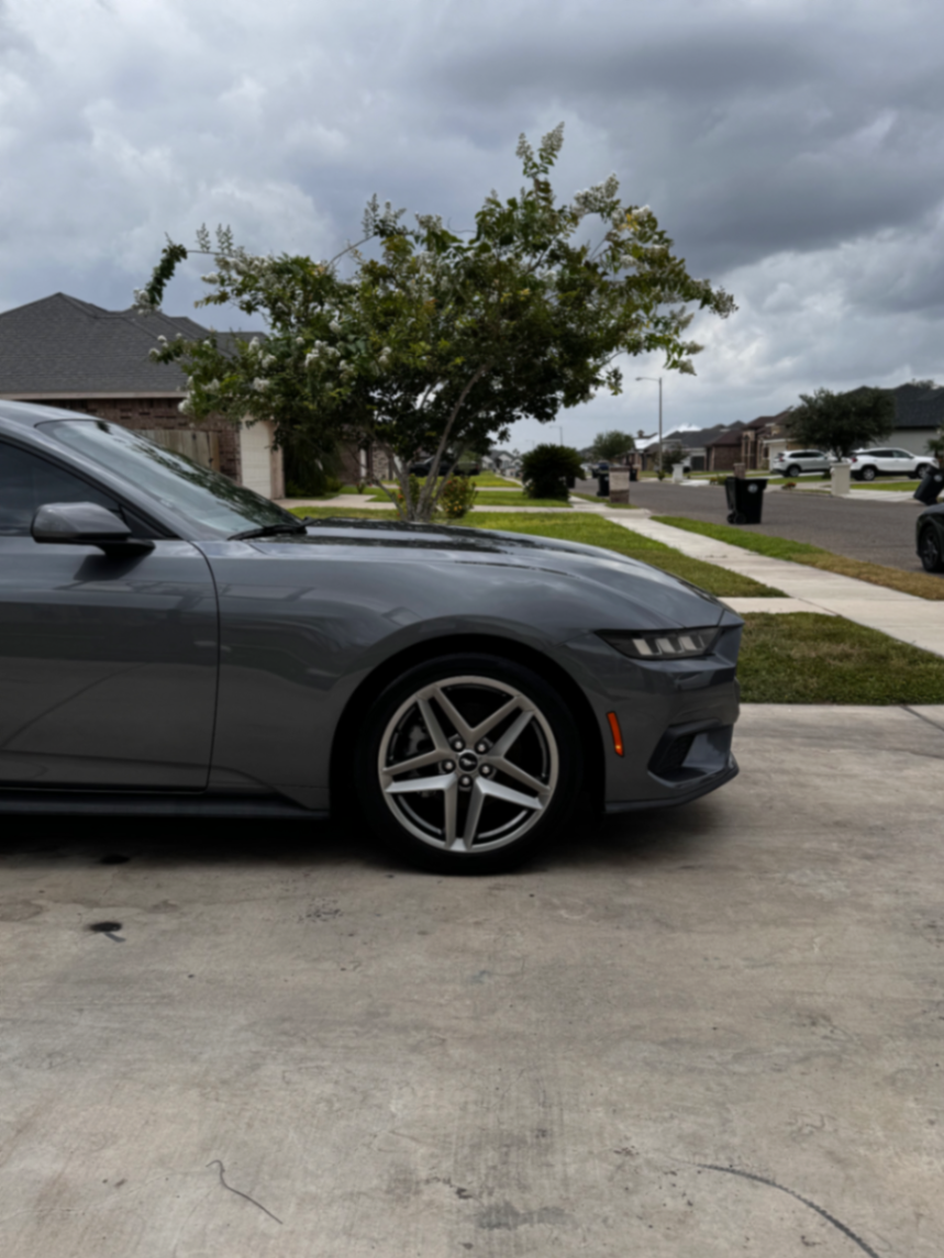Detailing work by Blackbird | Detailing 