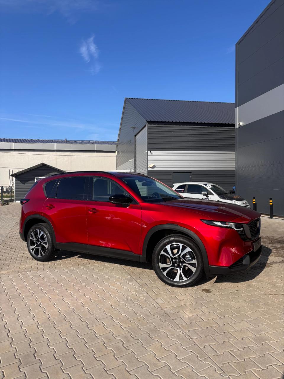 Trabajo de detallado de OCD Eco Detailing